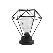 Load image into Gallery viewer, Edison Style Metal Terrarium Lamp Warm White LEDs