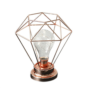 Edison Style Metal Terrarium Lamp Warm White LEDs